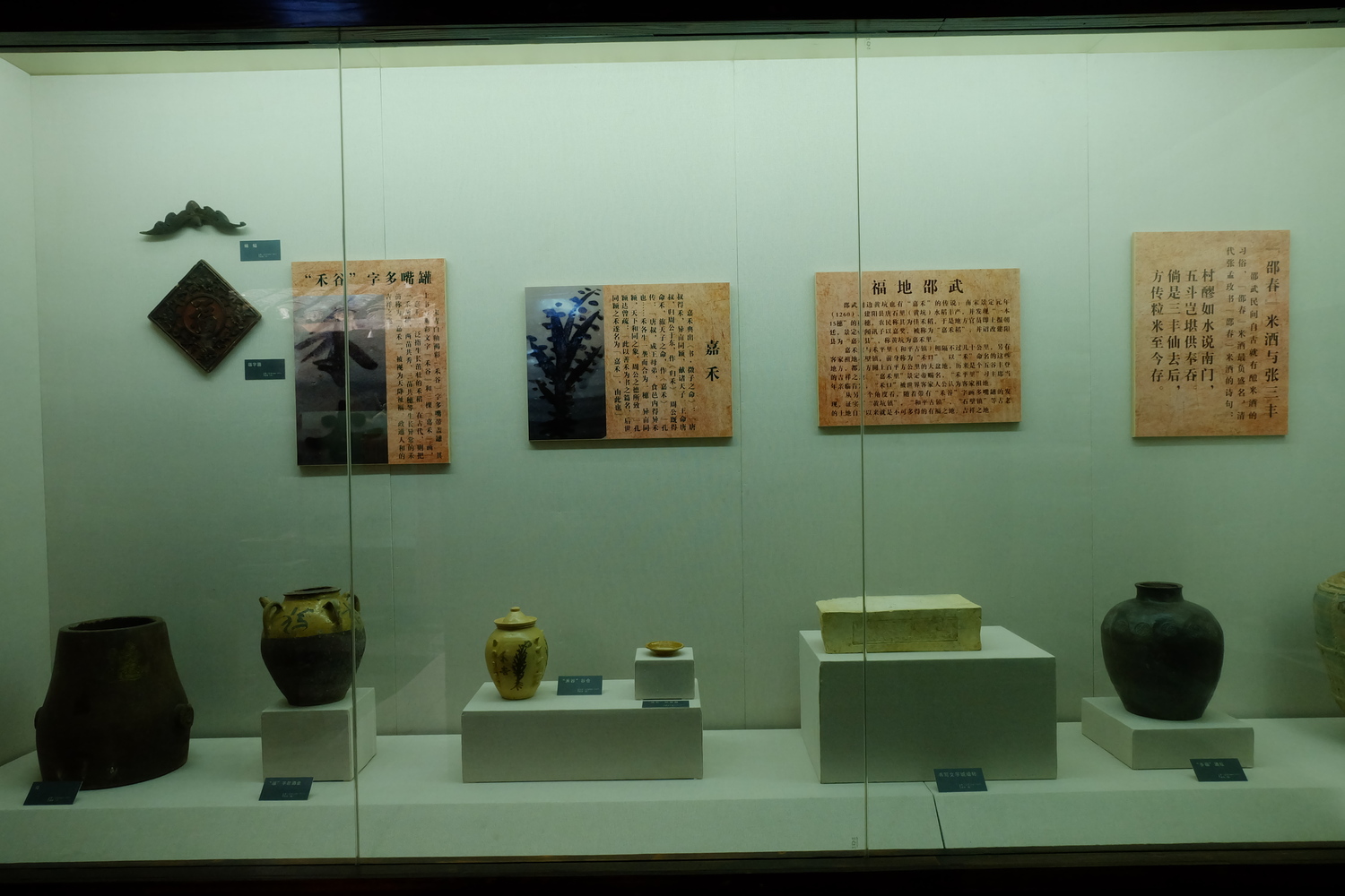 DSCF2934.JPG